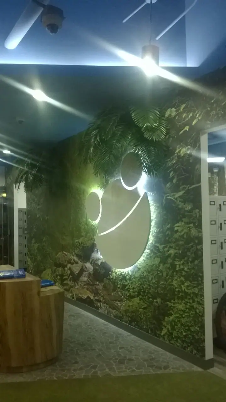 Illuminated sign on a green wall installation