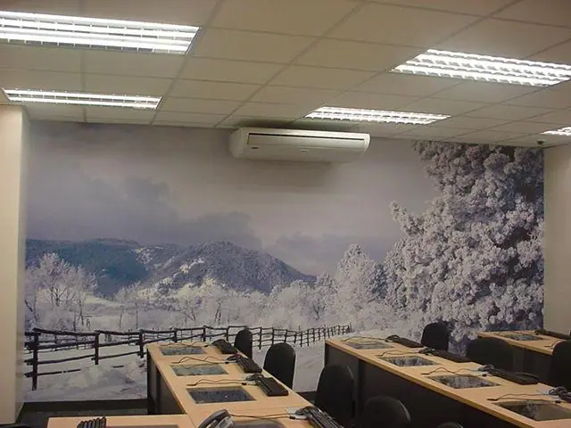 Winter landscape wallpaper in a training room